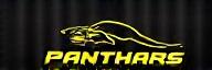 Panther Performance Logo